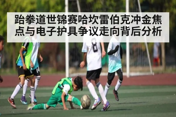 跆拳道世锦赛哈坎雷伯克冲金焦点与电子护具争议走向背后分析